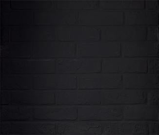 Majestic Black Onyx Traditional Refractory Set for Biltmore and Cottagewood 42" Wood Burning Fireplaces